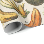 Fruchtpflanzliche wissenschaftliche Illustration Geschenkpapier (Rolleneckpunkt)