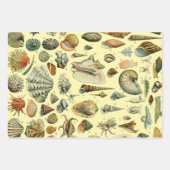 Fruchtpflanzliche wissenschaftliche Illustration Geschenkpapier Set (Vorderseite 2)