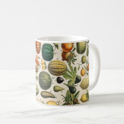 Fruchtpflanzliche wissenschaftliche Illustration Kaffeetasse (VorderseiteRechts)