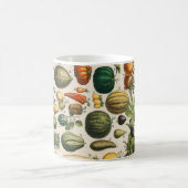 Fruchtpflanzliche wissenschaftliche Illustration Kaffeetasse (Mittel)