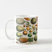 Fruchtpflanzliche wissenschaftliche Illustration Kaffeetasse (Links)