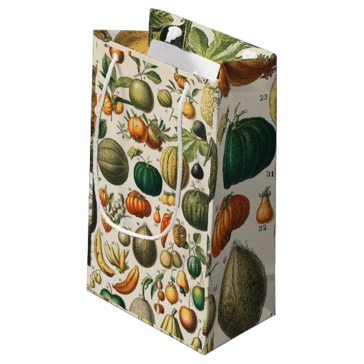 Fruchtpflanzliche wissenschaftliche Illustration Kleine Geschenktüte (Rückseite Schrägansicht)