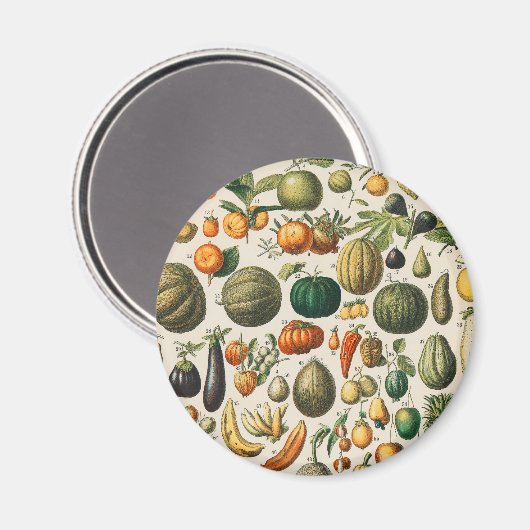 Fruchtpflanzliche wissenschaftliche Illustration Magnet (Vorderseite/Rückseite)