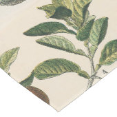 Fruchtpflanzliche wissenschaftliche Illustration Mittelgroßer Tischläufer (Ecke)