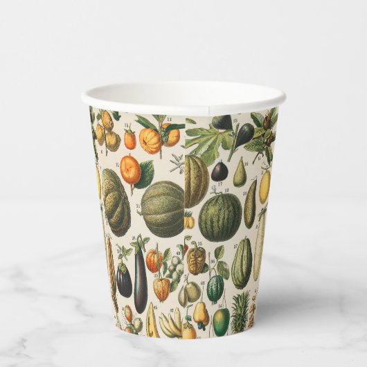 Fruchtpflanzliche wissenschaftliche Illustration Pappbecher (Rechts)