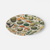 Fruchtpflanzliche wissenschaftliche Illustration Pappteller (Schrägansicht)