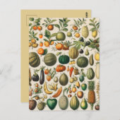 Fruchtpflanzliche wissenschaftliche Illustration Postkarte (Vorne/Hinten)