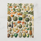 Fruchtpflanzliche wissenschaftliche Illustration Postkarte (Vorderseite)