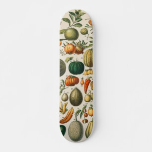 Fruchtpflanzliche wissenschaftliche Illustration Skateboard
