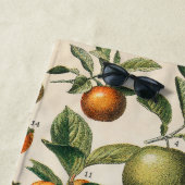 Fruchtpflanzliche wissenschaftliche Illustration Strandtuch (Beispiel)