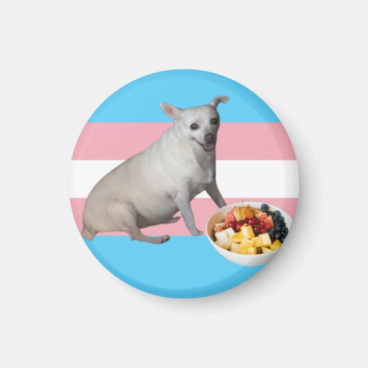 Fruchtsalat Magnet (Vorne)