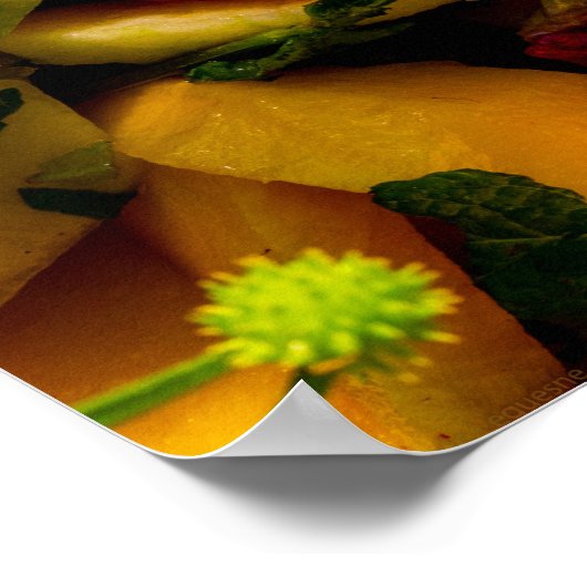 Fruchtsalat Poster (Ecke)
