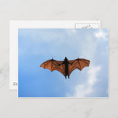 Fruchtschläger Postkarte (Vorne/Hinten)