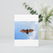 Fruchtschläger Postkarte (Stehend Vorderseite)