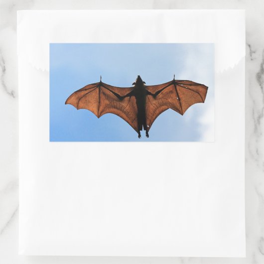 Fruchtschläger Rechteckiger Aufkleber (Tasche)