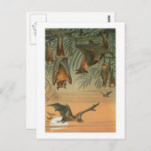 Fruchtschlämme Postkarte (Vorne/Hinten)