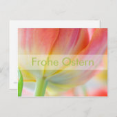 Fruehling ・ Oster-Postkarte Postkarte (Vorne/Hinten)