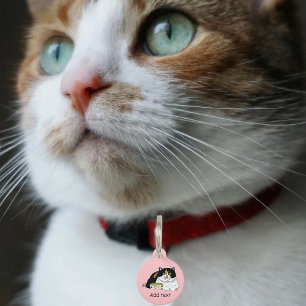 Früh Morgen Hunger Kitty Haustiermarke