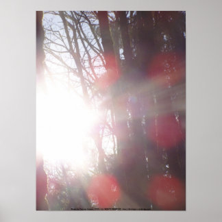 Früh morgens Sonnenstrahlen #28 Poster