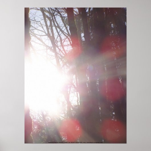 Früh morgens Sonnenstrahlen #28 Poster (Vorne)