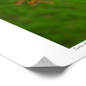 Frühe Ahornsaaten #4352 Poster (Ecke)