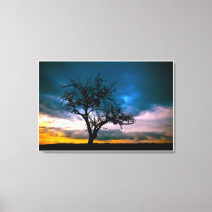 Frühe Frühlingssonne Blaue Himmelsfarbe Malerei Leinwanddruck