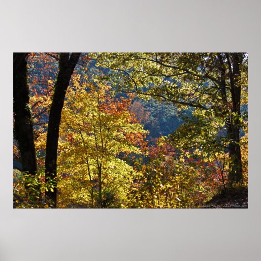 Frühe Herbstvormitte auf dem Westberg Poster (Vorne)