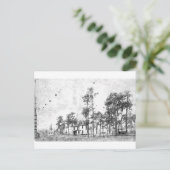 Frühe Jahre, Mount Dora, FL Postkarte (Stehend Vorderseite)