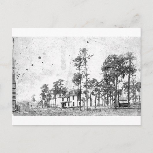 Frühe Jahre, Mount Dora, FL Postkarte (Vorderseite)