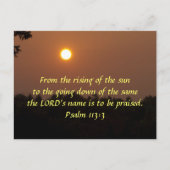 Frühe Morgendämmerung Ende Juni Postkarte (Vorderseite)