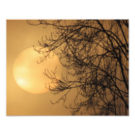 Frühe Morgensonne Fotodruck