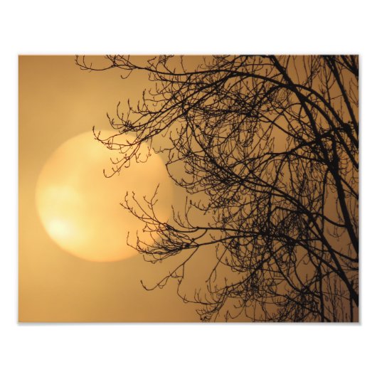 Frühe Morgensonne Fotodruck (Vorne)