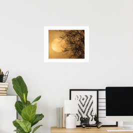 Frühe Morgensonne Poster