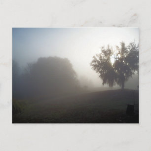 frühe neblig Morgen nur bei Sonnenaufgang Postkarte