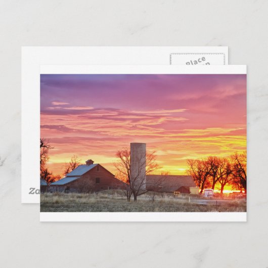 Frühe Vormittagssonne Postkarte (Vorne/Hinten)