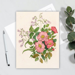 Frühe Wilde Rose, Pentstèmon Bartzunge (1868) Postkarte