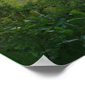 Früher Abend Poster (Ecke)