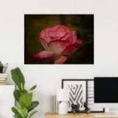 Früher Abendrose Poster (Heimbüro)