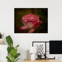 Früher Abendrose