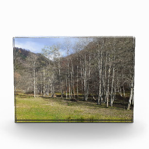 Früher Herbst am Fluss - Wilde Natur Rumänien Fotoblock