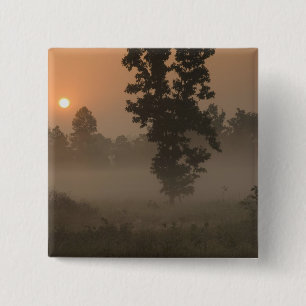 Früher Morgen, aufgehende Sonne und Bodennebel Button