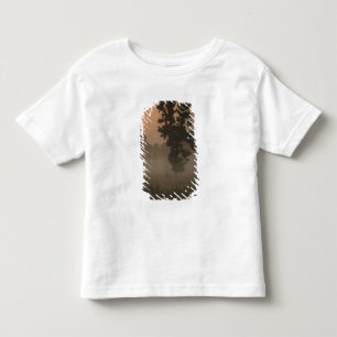 Früher Morgen, aufgehende Sonne und Bodennebel Kleinkind T-shirt