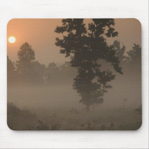 Früher Morgen, aufgehende Sonne und Bodennebel Mousepad