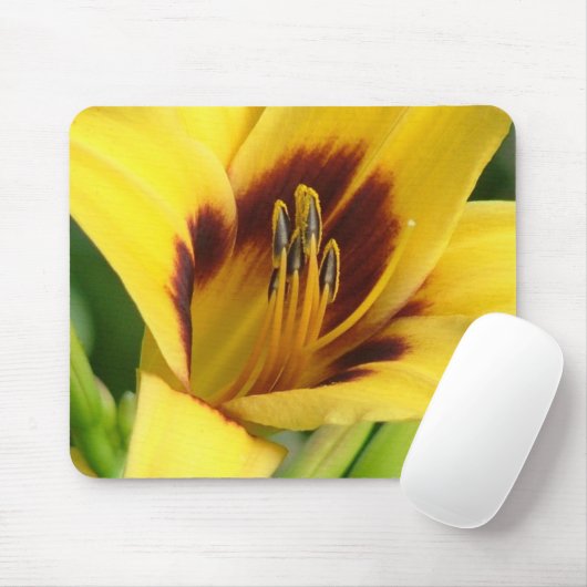 Früher Morgen-Mausunterlage Mousepad (Mit Mouse)