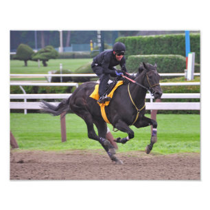 Früher Morgen-Trainings bei Saratoga Fotodruck
