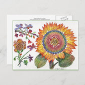 Früher Tag Sonnenblumen zeichnend Postkarte (Vorne/Hinten)