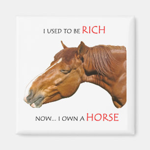 Früher war ich reich magnet