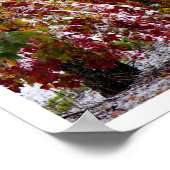 Früherer Winter Poster (Ecke)