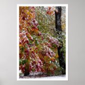 Früherer Winter Poster (Vorne)