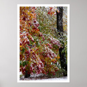 Früherer Winter Poster